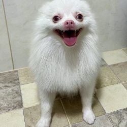 Casper